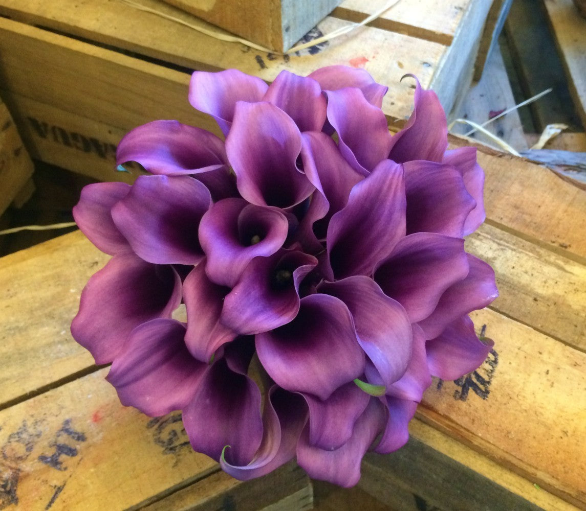 Buchet de mireasa din 29 cale mov