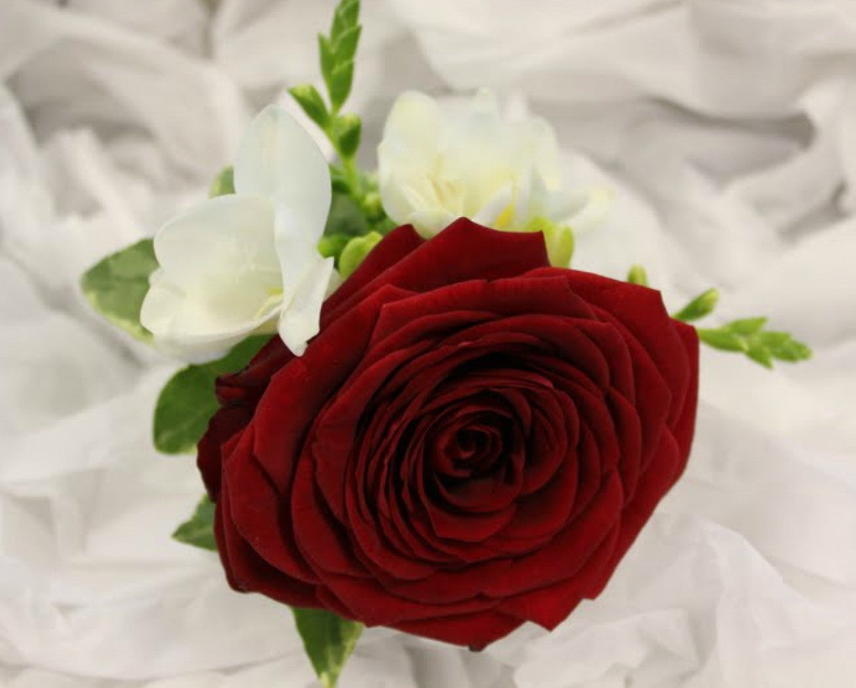 Cocarde naturale din trandafiri si frezii