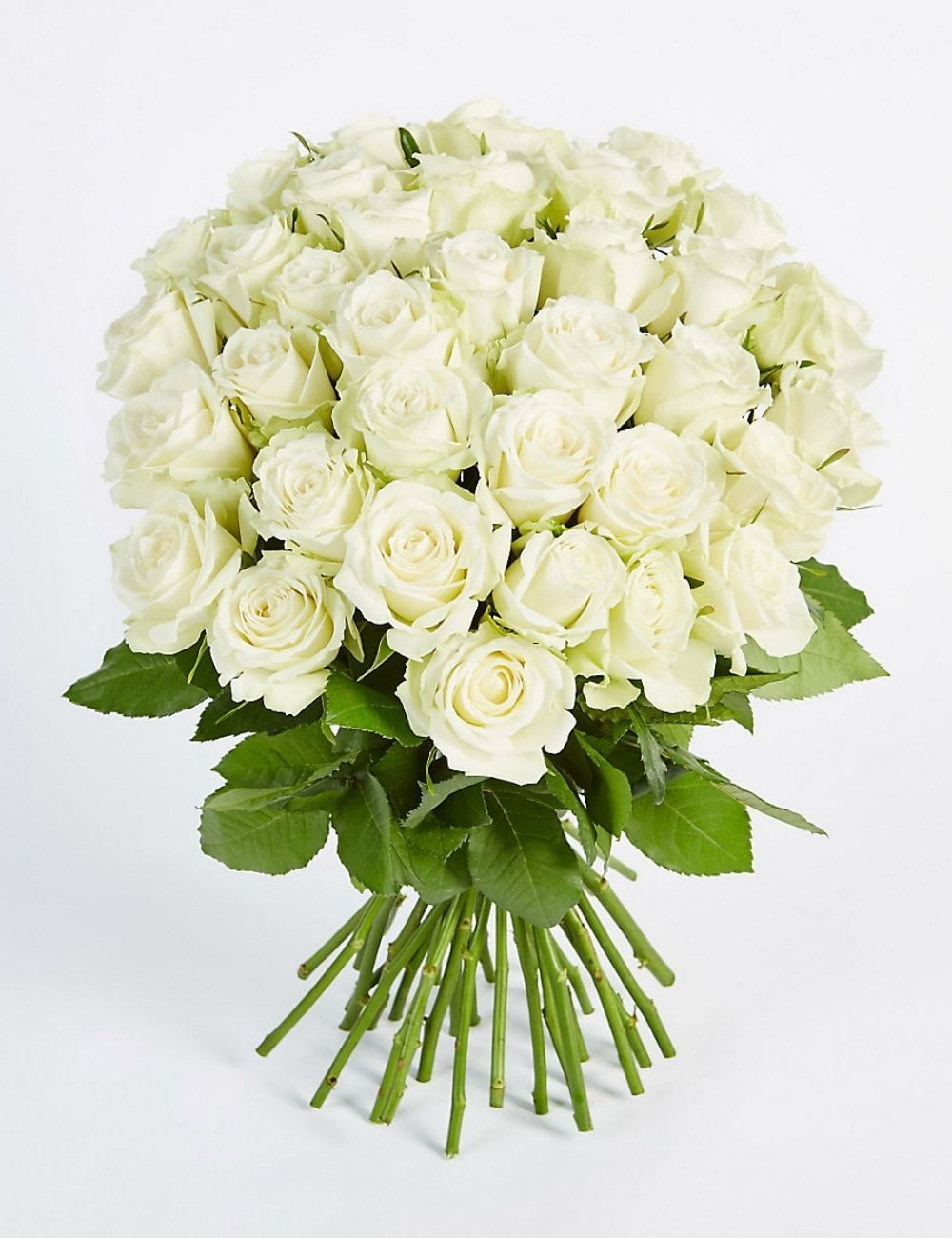 Buchet de trandafiri albi - apreciere si timiditate