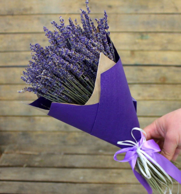 Bouquet of fragrant lavender