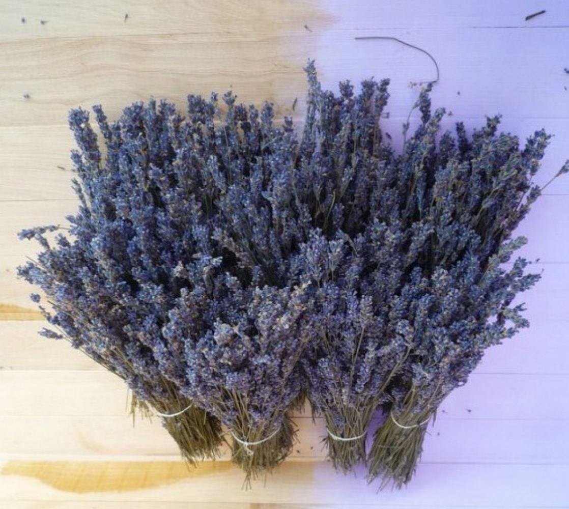 Comanda Buchet flori de lavanda sau levantica, pret special cu livrare!