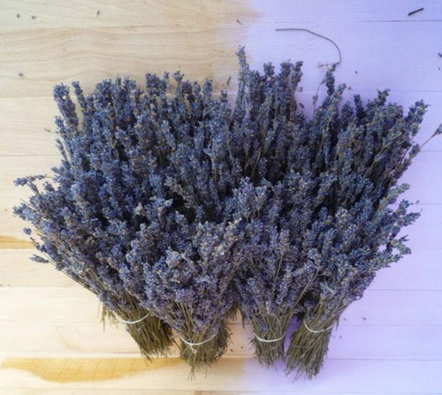 Comanda Buchet flori de lavanda sau levantica, pret special cu livrare!