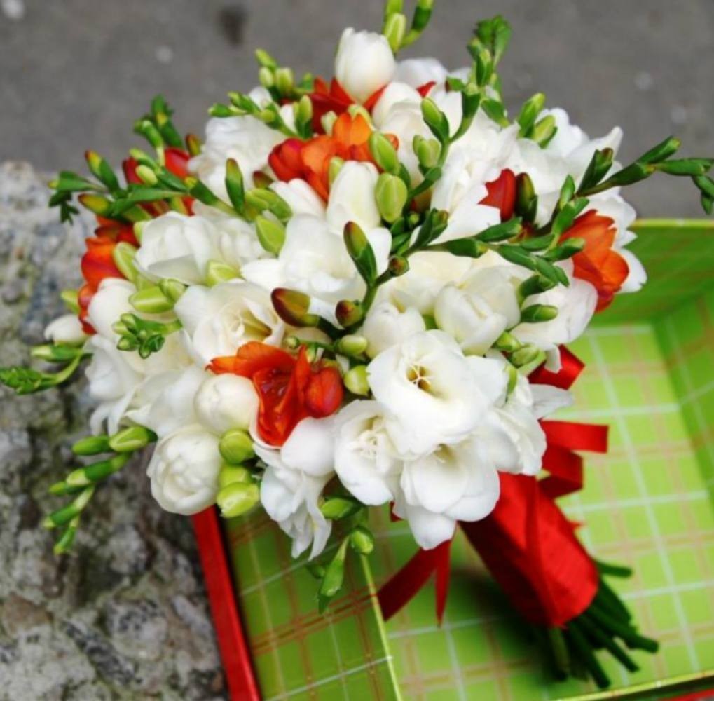 Buchet mireasa frezii albe si portocalii