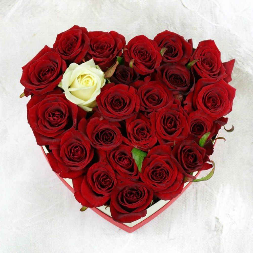 Trandafiri rosii si albi in cutie, disponibil in magazin sau online