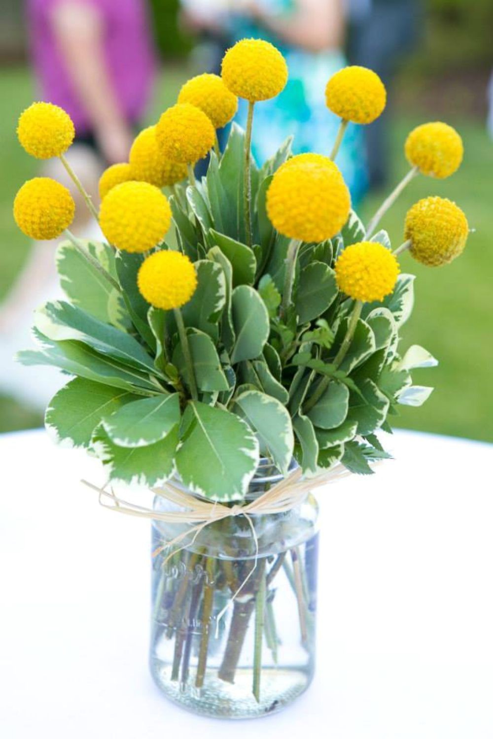 Cele mai frumoase Aranjamente masa din craspedia cu livrare si pret imbatabil!