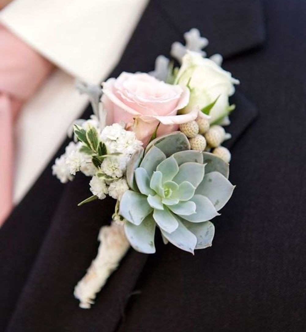 Cocarde suculente si minirose