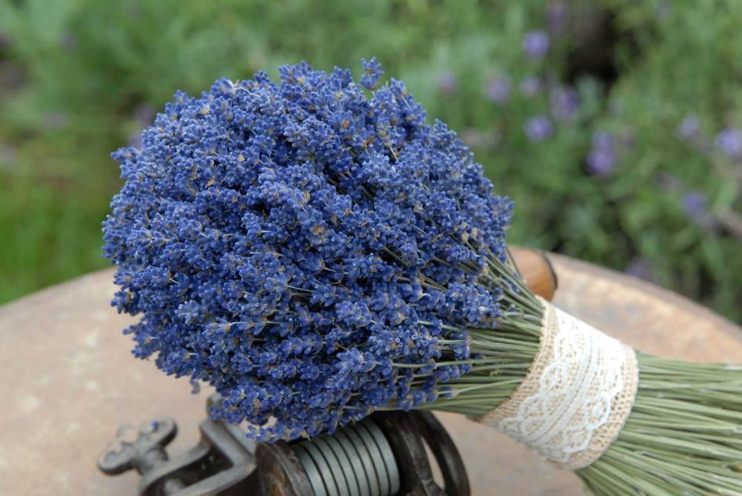 Buchet mireasa lavanda parfumata