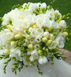 Buchet de mireasa din frezii albe - cel mai bun pret cu livrare Bucuresti!