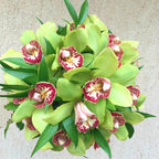 Buchet de mireasa din orhidee Cymbidium verde