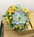 Buchet de cununie cu plante suculente si craspedia