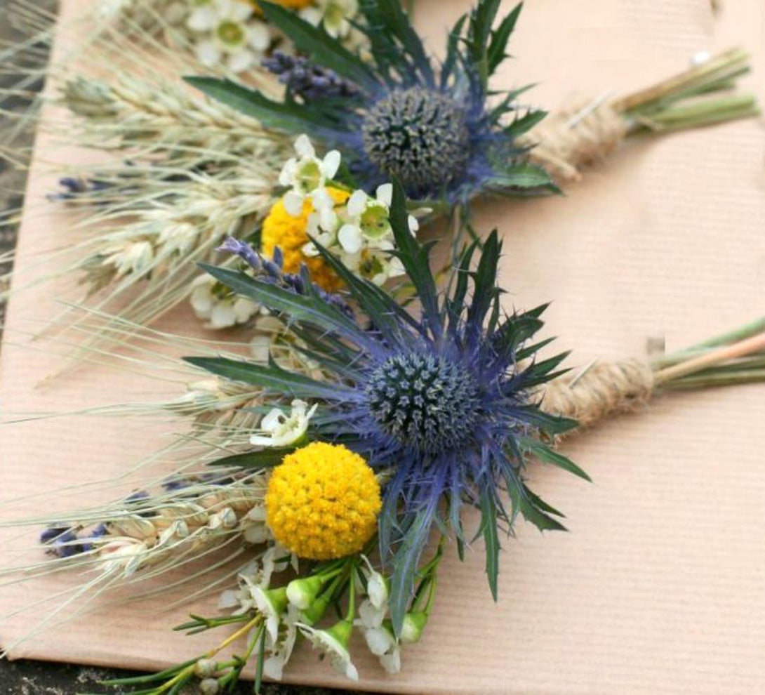 Cocarde flori naturale speciale - spice de grau, eryngium si craspedia