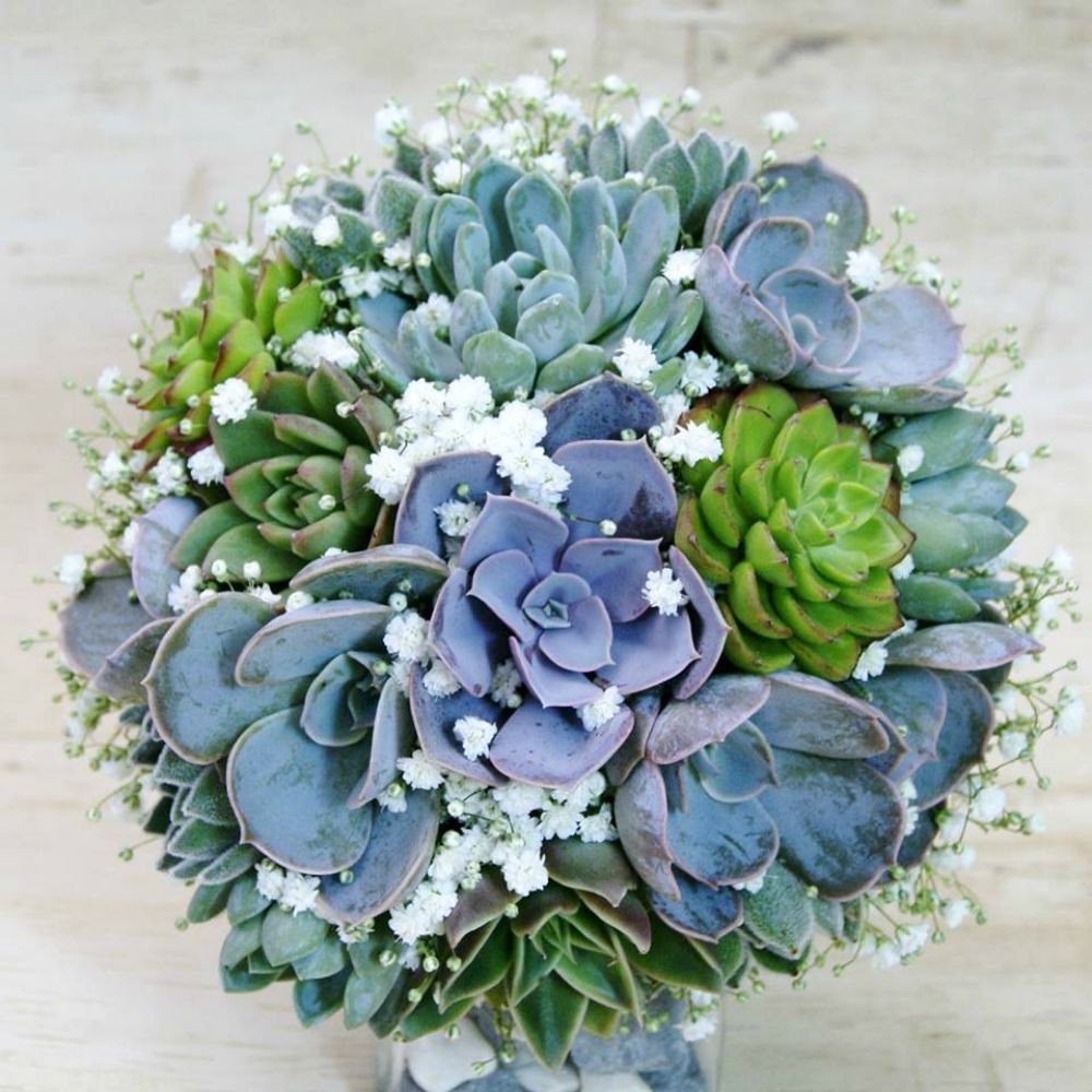 Cele mai deosebite modele de buchete cununie mix plante suculente