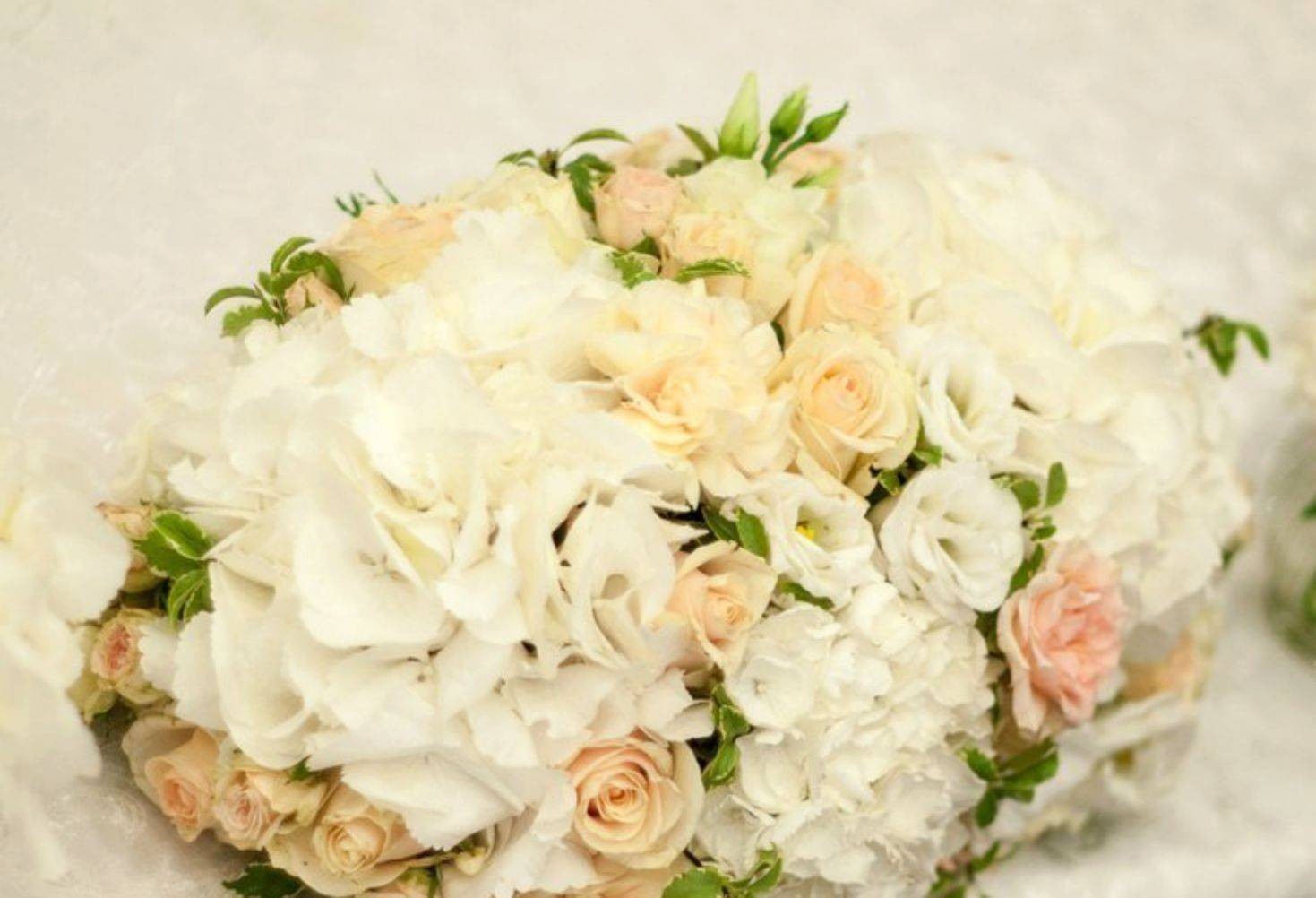 Aranjamente prezidiu hortensii albe si minirose