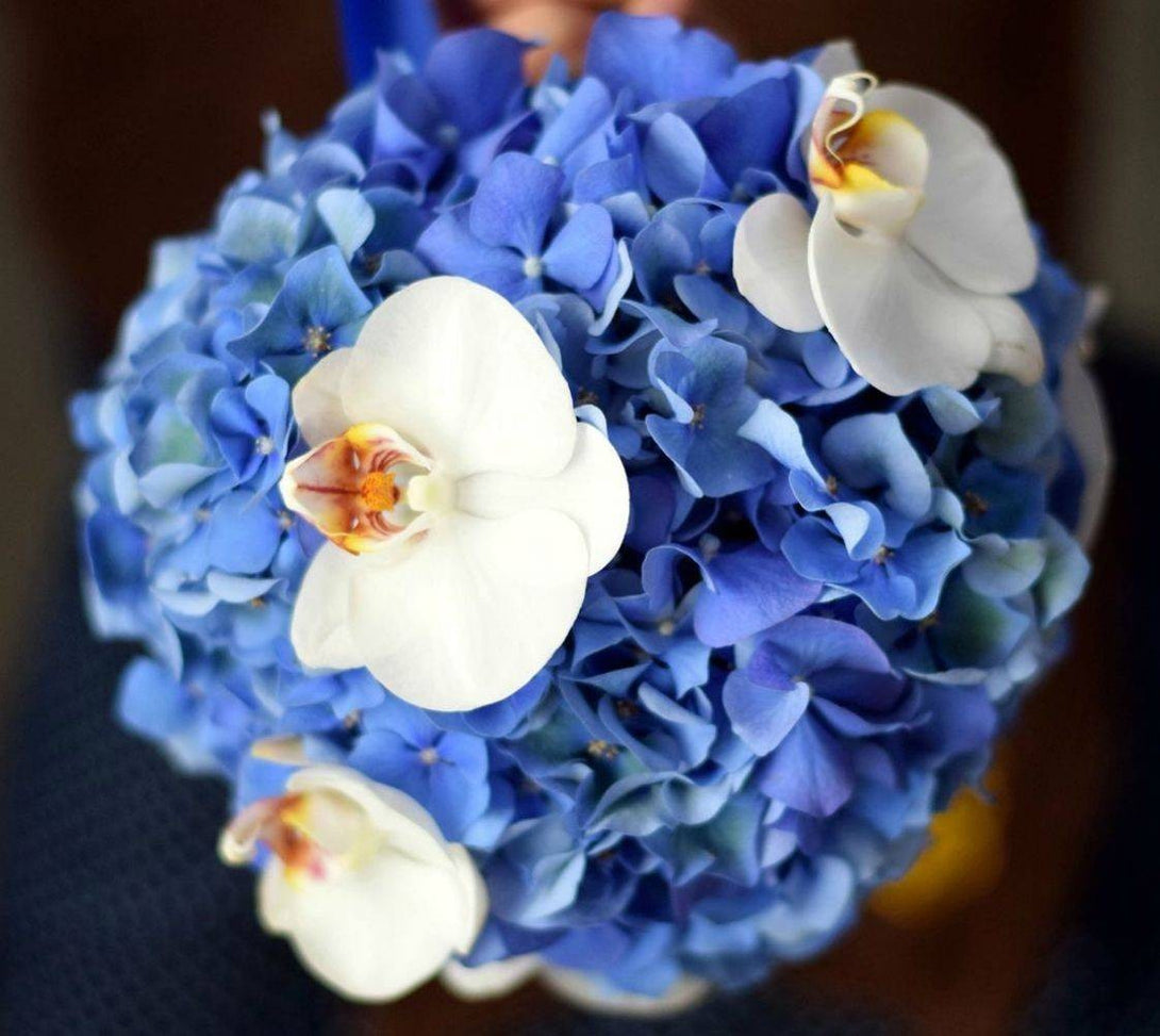 Buchet cununie albastru cu hortensie si phalaenopsis