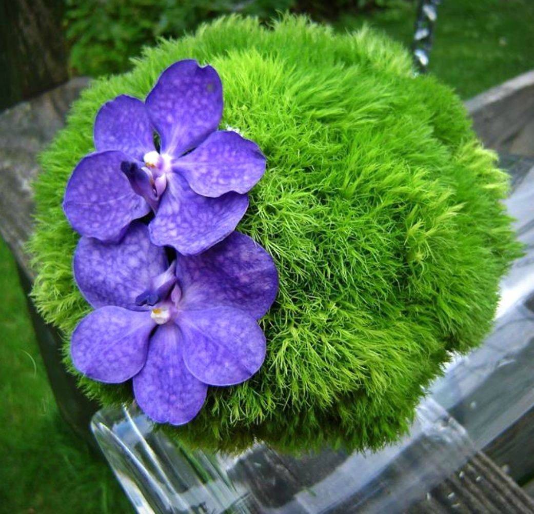 Buchet cununie fresh dianthus si vanda