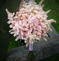 Buchet de mireasa rustic din astilbe roz