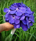 Buchet de mireasa din orhidee Vanda