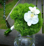 Buchet mireasa orhidee phalaenopsis si dianthus green trick