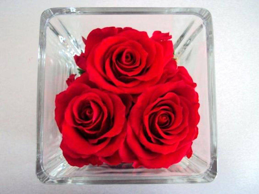 Comanda online Trandafiri conservati in sticla, cel mai bun pret!
