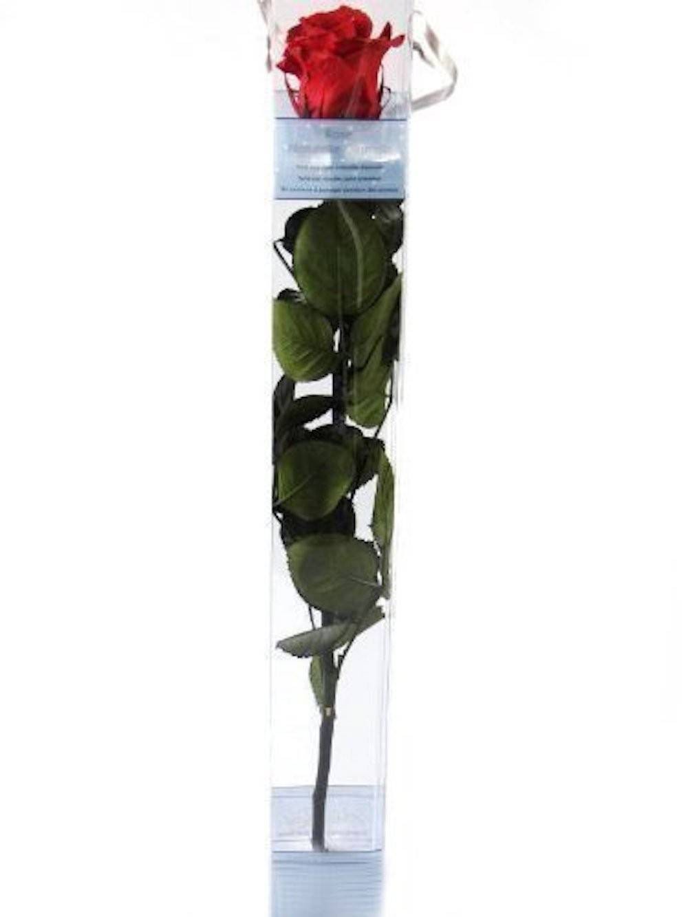 Cumpara online Trandafiri criogenati naturali, cel mai bun pret!