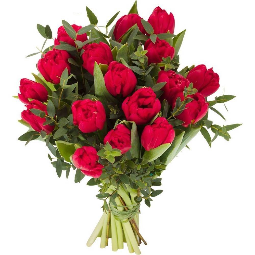 Buchet lalele rosii -  flori de primavara, flori de martisor