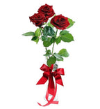 Buchet din 3 trandafiri cu snur de martisor