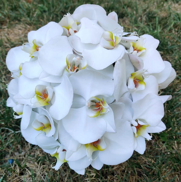 Impressive bridal bouquet of phalaenopsis orchids