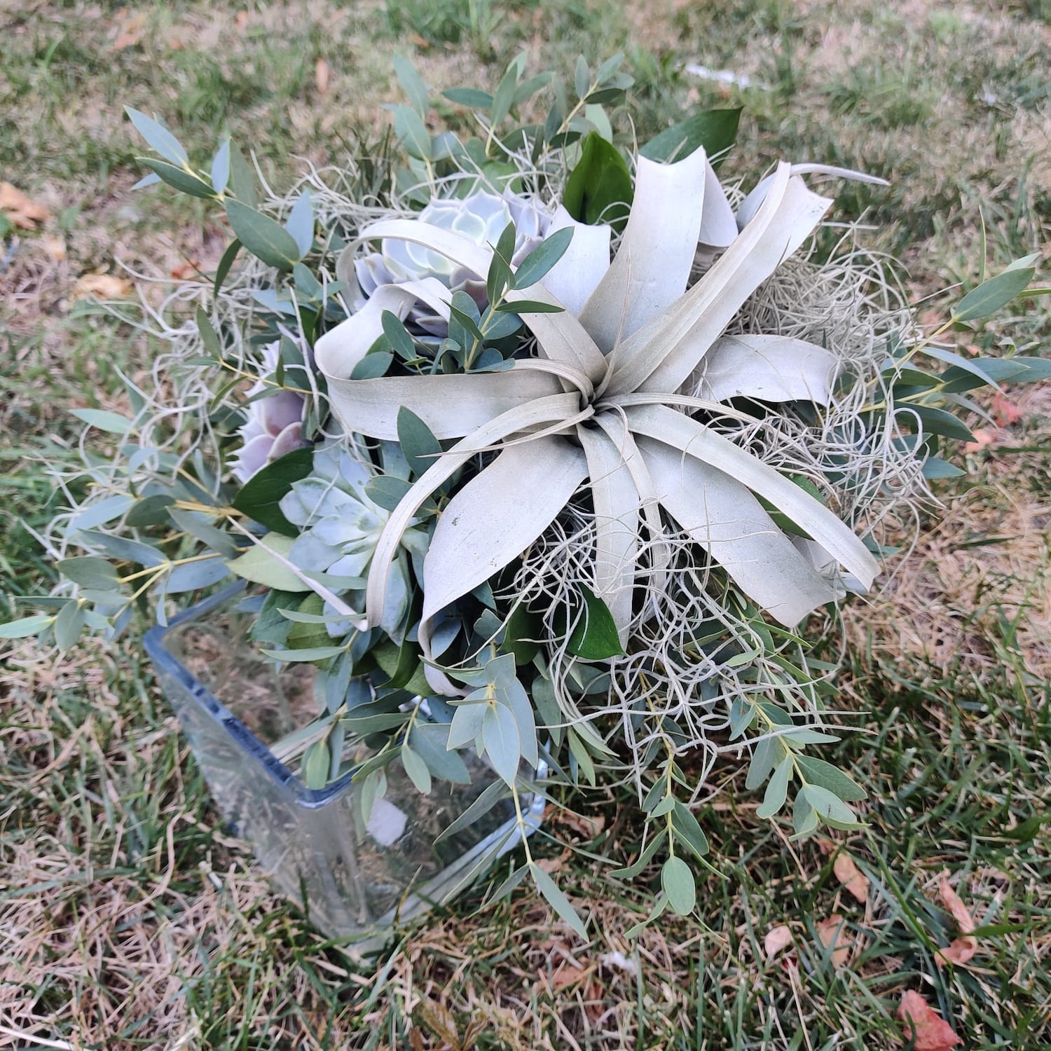 Buchet cununie tillandsia si suculente