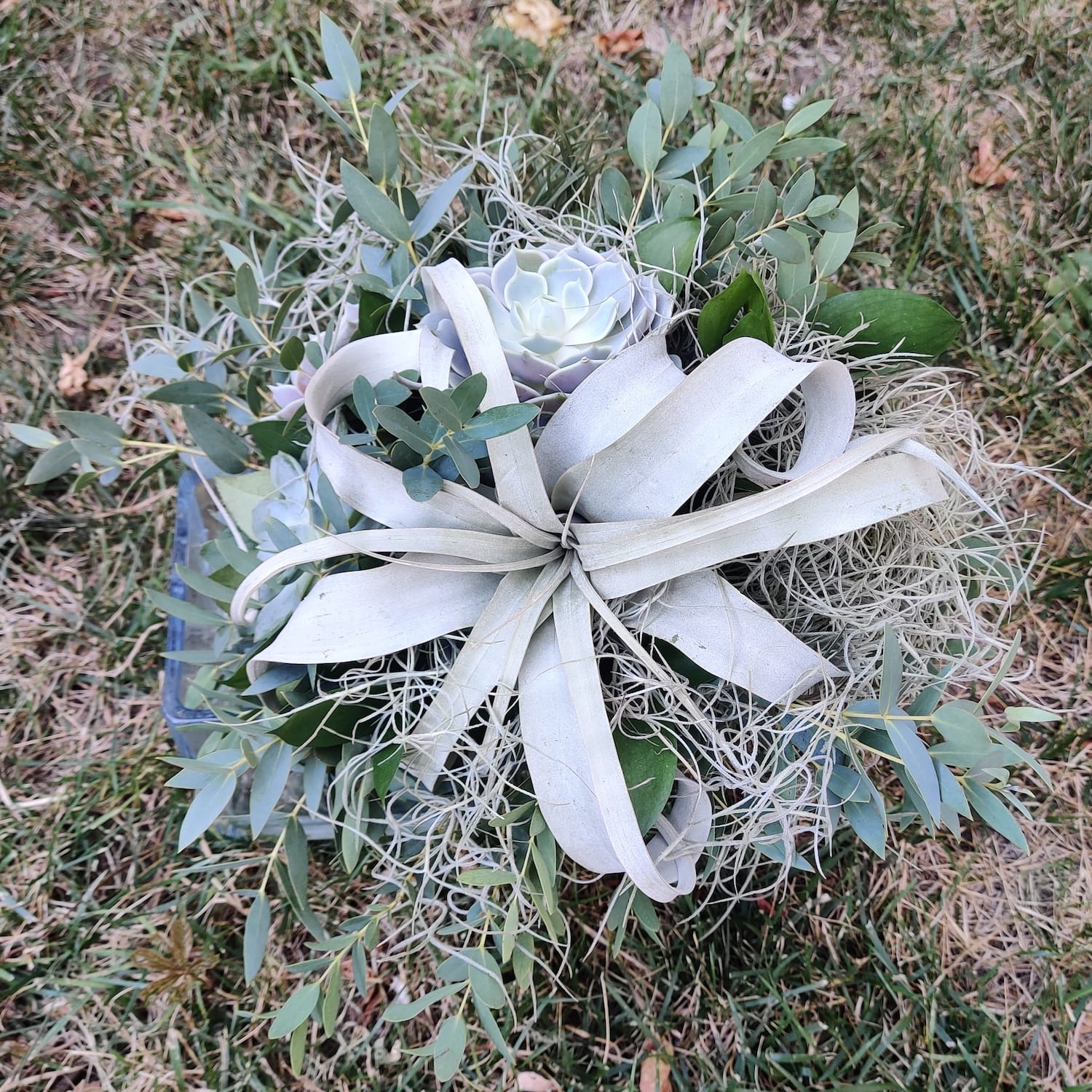 Buchet cununie tillandsia si suculente