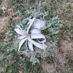 Buchet cununie tillandsia si suculente