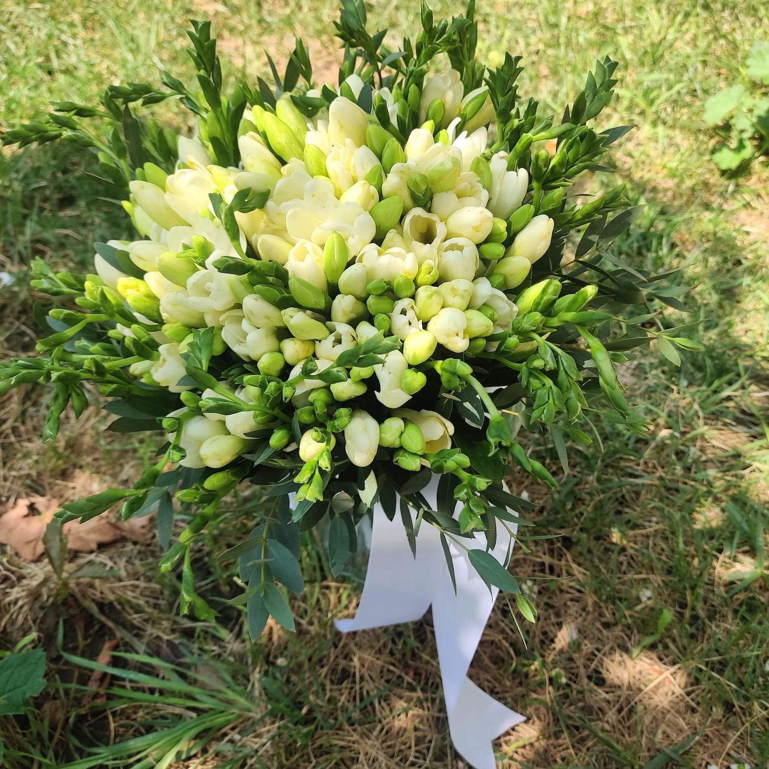 Buchet de mireasa din 49 frezii albe