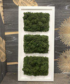 Tablou cu licheni stabilizati - alege culoarea