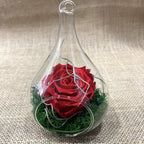 Trandafiri criogenati in sticla - un cadou elegant