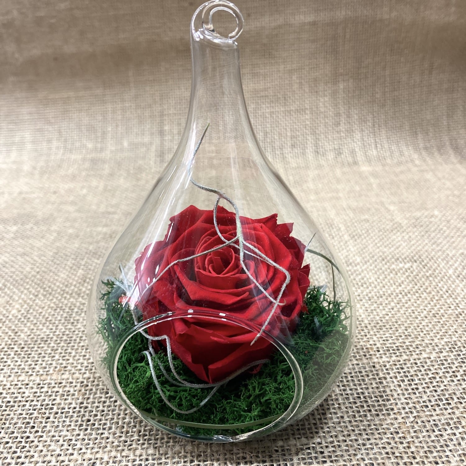 Trandafiri criogenati in sticla - un cadou elegant