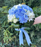 Buchet mireasa hortensie albastra si frezii albe
