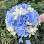 Buchet mireasa hortensie albastra si frezii albe